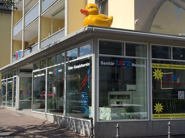 Ente bei Lotz 01