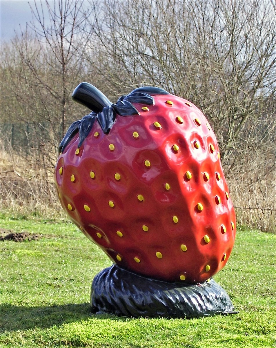 Erdbeere 70 cm_bearbeitet-1