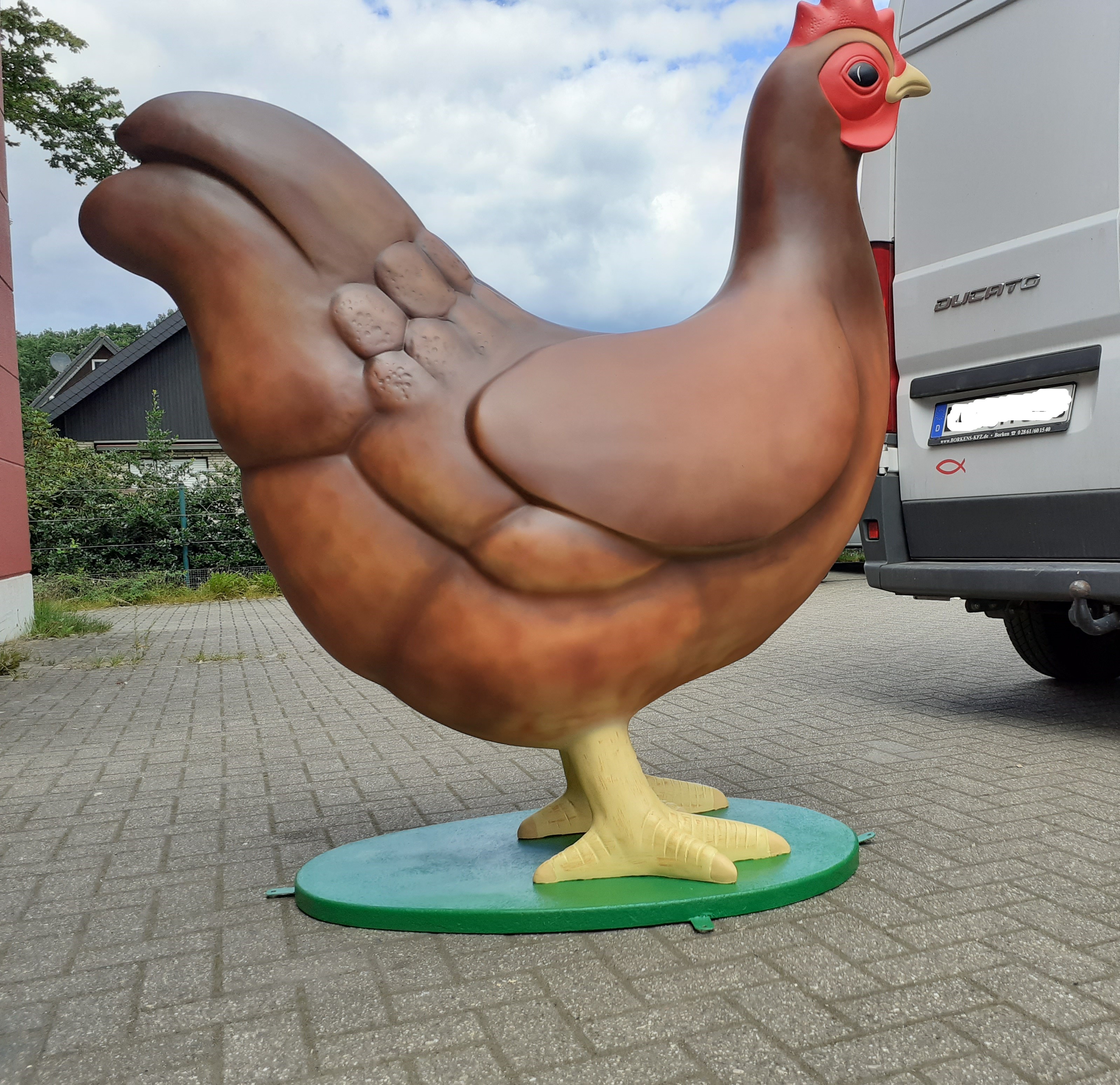 Huhn braun (2)