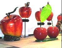 Kirsche groß