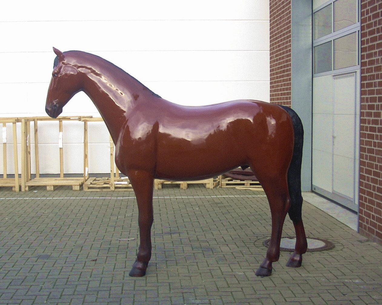 Pferd 2