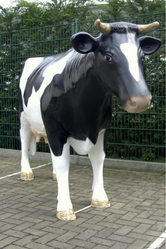 schwarz weiße Kuh 1